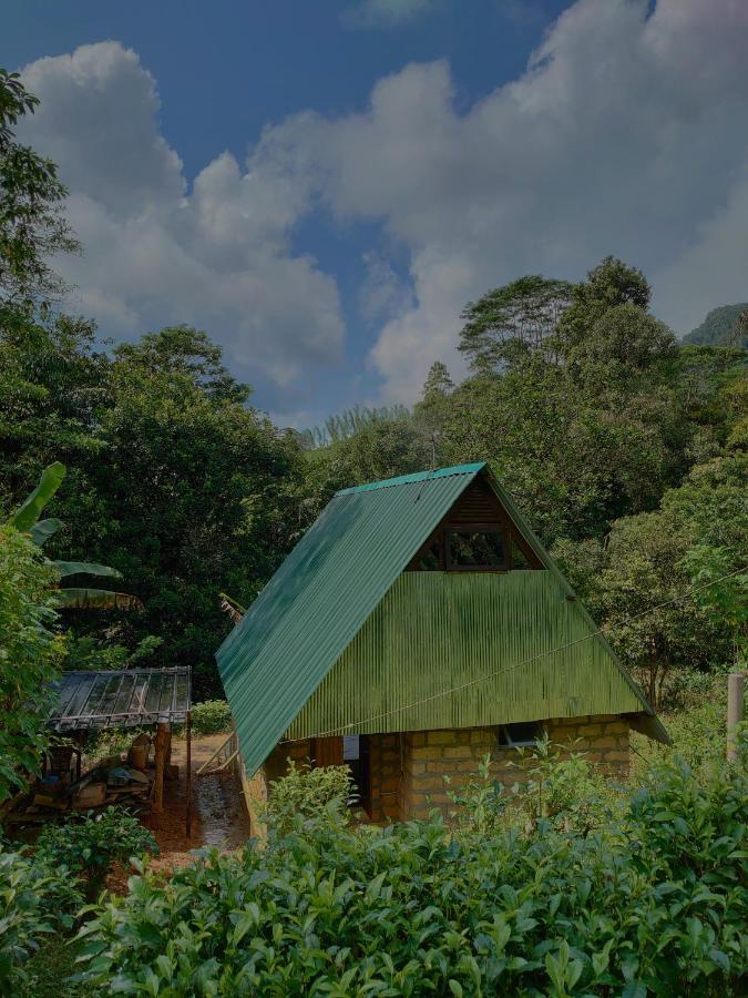Rainforest Cabin Deniyaya Exterior photo