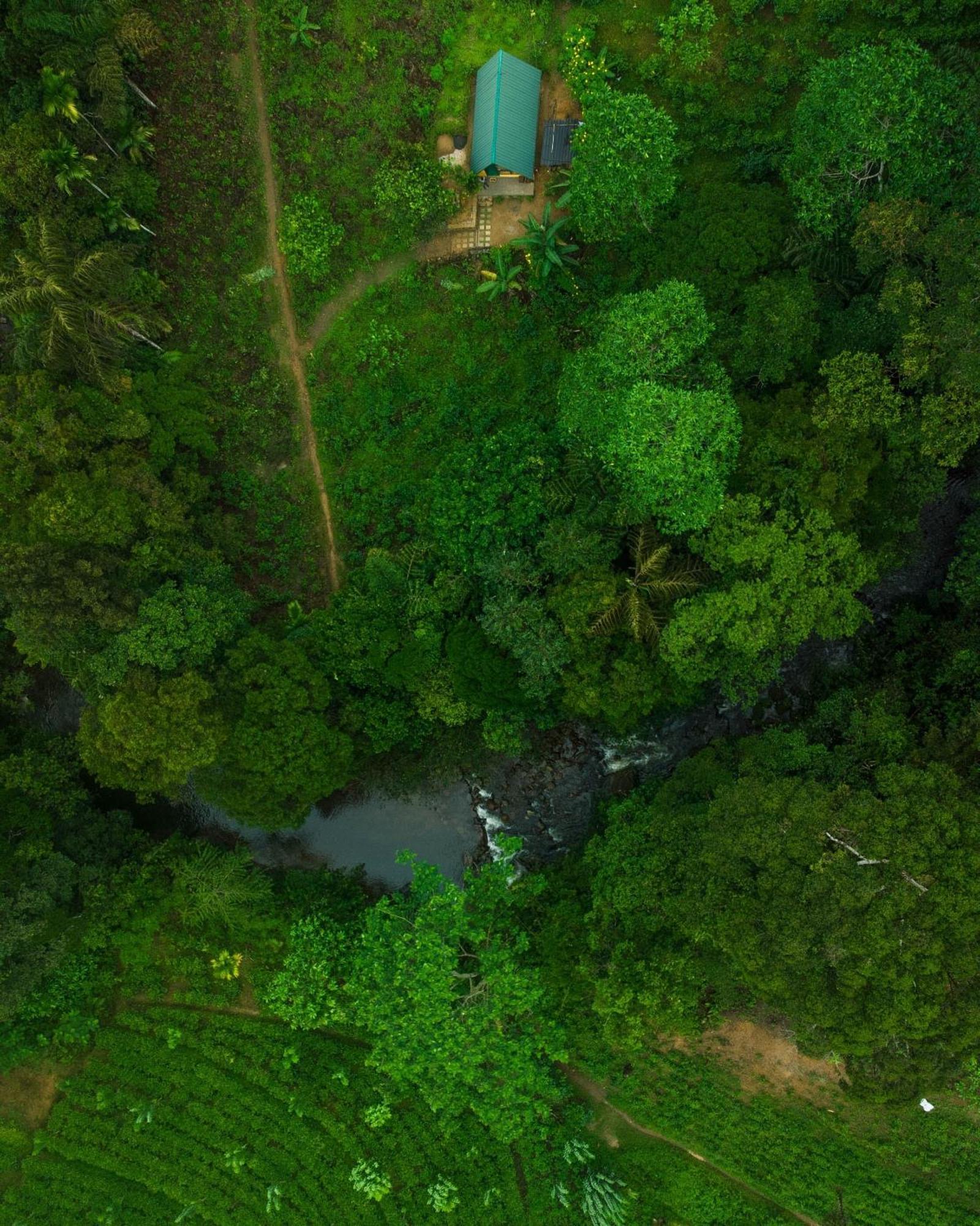 Rainforest Cabin Deniyaya Exterior photo