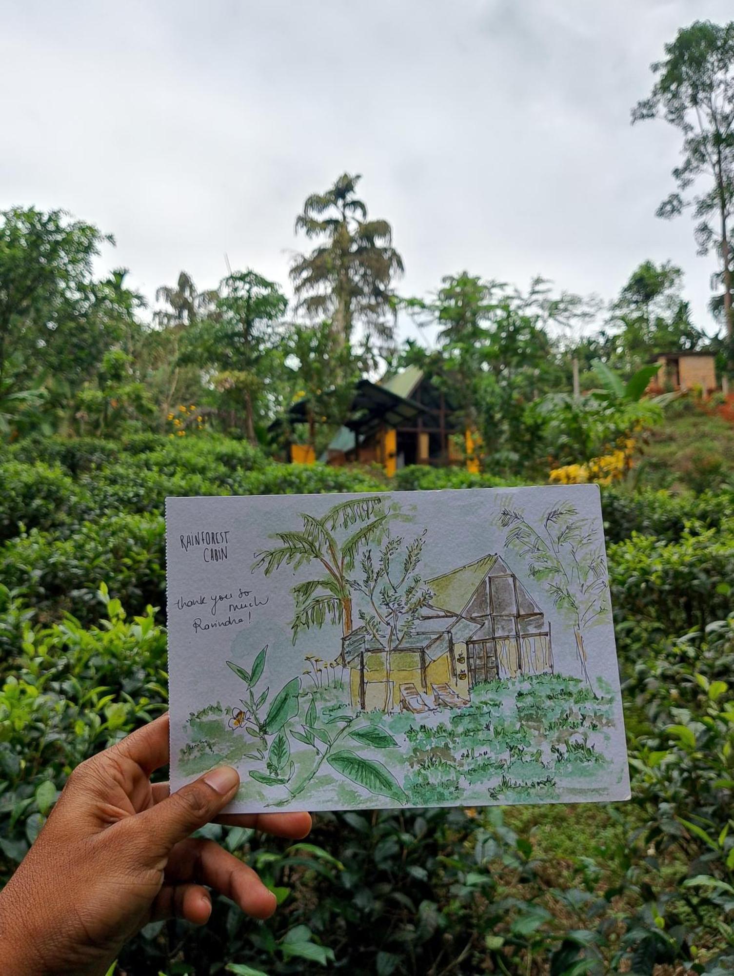 Rainforest Cabin Deniyaya Exterior photo