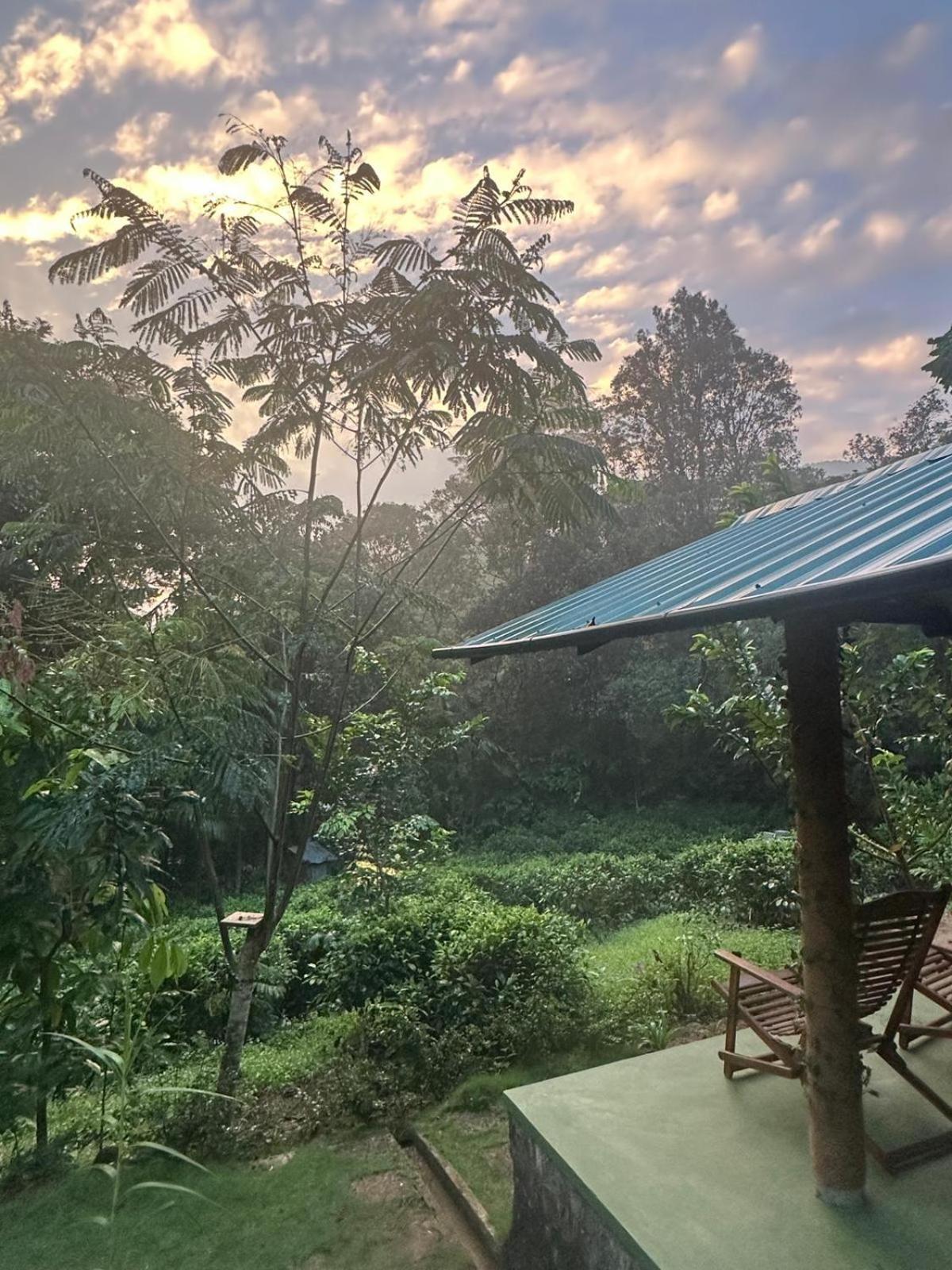 Rainforest Cabin Deniyaya Exterior photo